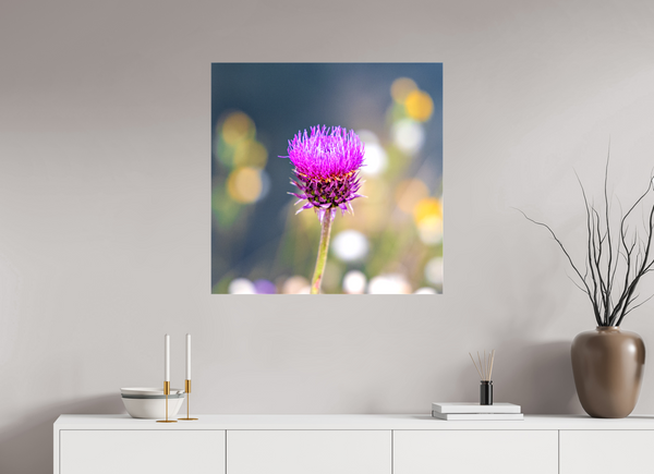 30 x 30″, Canvas with Wrapped Edges, Glossy Wyoming Thistle