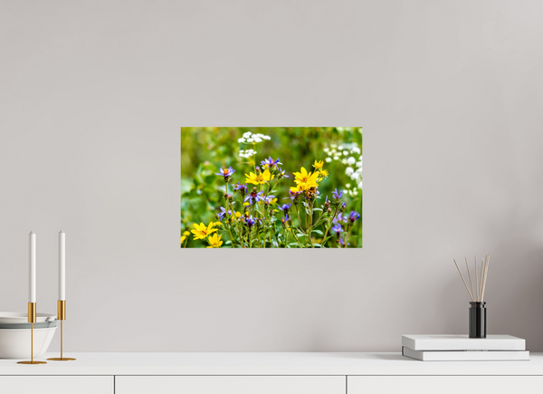 15 x 10″, Photo Print On Fuji Crystal DP II Wildflowers