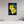 20 x 30″, Floater Frame Yellow Wildflower