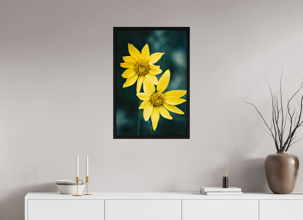 20 x 30″, Floater Frame Yellow Wildflower