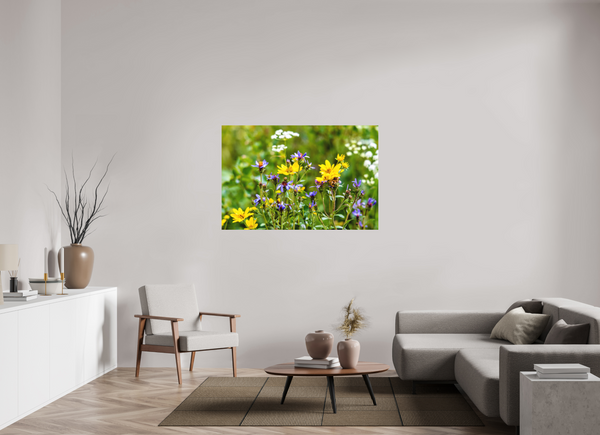 54 x 36″, Direct Print on Aluminum Board, Matte Wildflowers