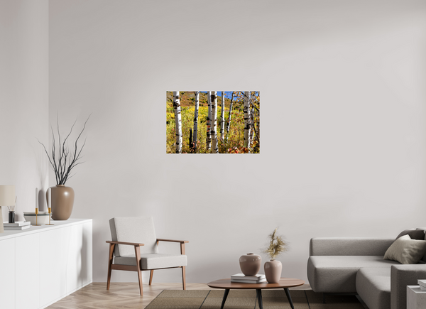 36 x 24″, Photo Print On Fuji Crystal DP II Aspens, Idaho