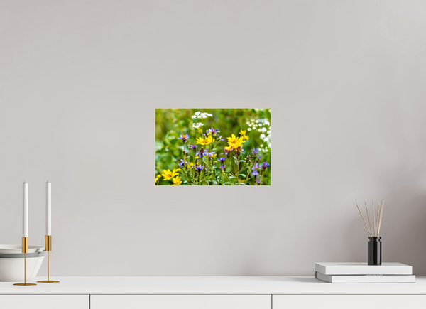 12 x 8″, Photo Print Under Acrylic Glass Wildflowers