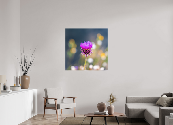 40 x 40″, Photo Print On Fuji Crystal DP II Wyoming Thistle