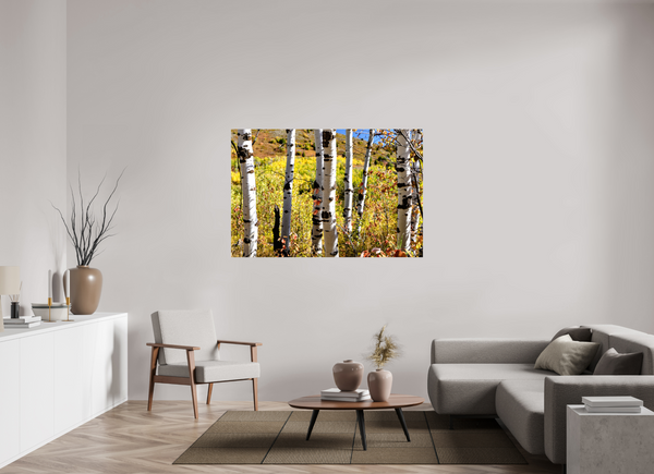 60 x 40″, Canvas with Wrapped Edges, Glossy Aspens