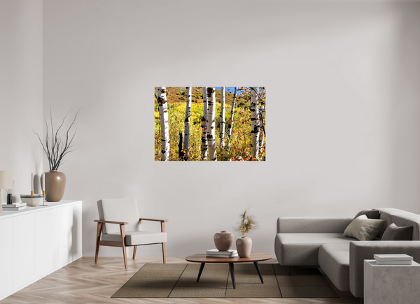 54 x 36″, Canvas with Wrapped Edges, Glossy Aspens