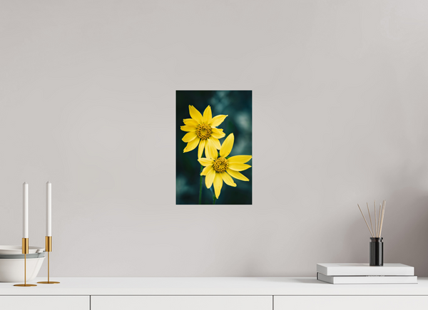 8 x 12″, Photo Print On Fuji Crystal DP II Yellow Wildflower