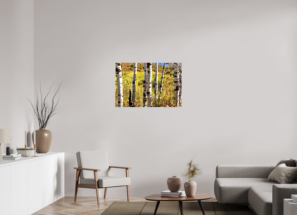 36 x 24″, Canvas with Wrapped Edges, Glossy Aspens