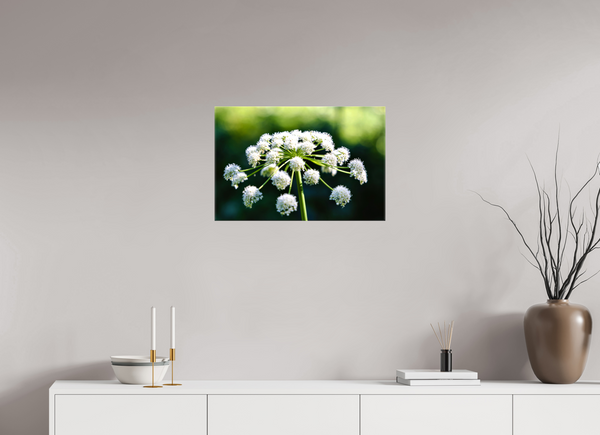 24 x 16″, Canvas with Wrapped Edges, Glossy Wildflower