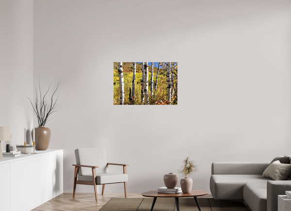 36 x 24″, Direct Print on Aluminum Board, Matte Aspens