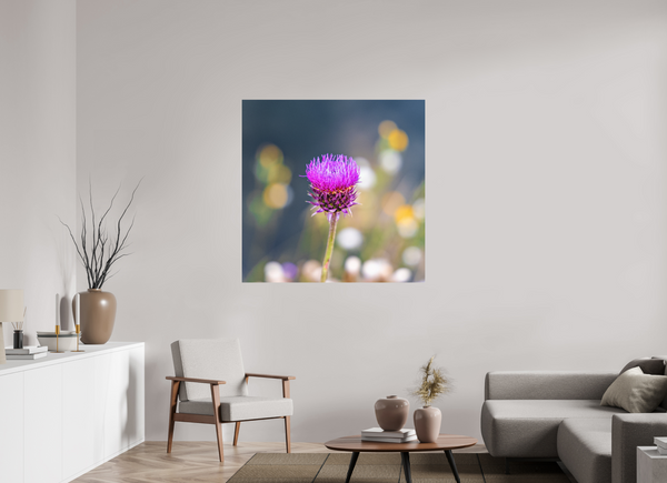 45 x 45″, Direct Print on Aluminum Board, Matte Wyoming Thistle