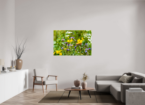 54 x 36″, Photo Print Under Acrylic Glass Wildflowers