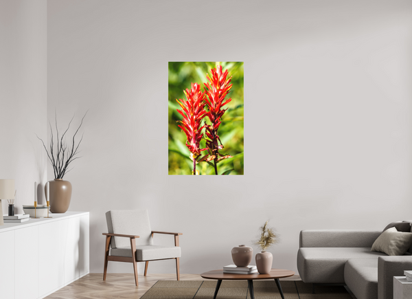 30 x 45″, Direct Print on Aluminum Board, Matte Indian Paintbrush