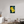 24 x 36″, Photo Print Under Acrylic Glass Wild Sunflower