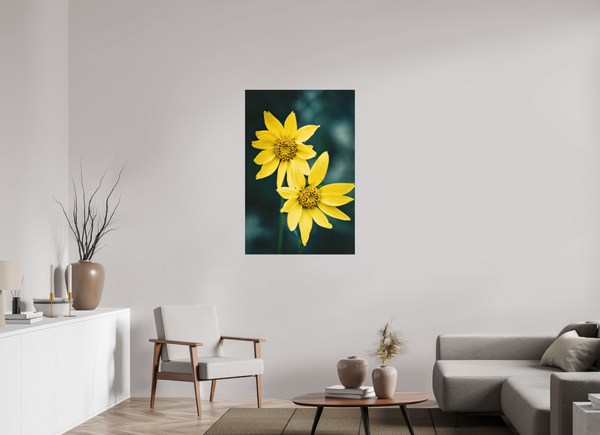 30 x 45″, Direct Print on Aluminum Board, Matte Wild Sunflower