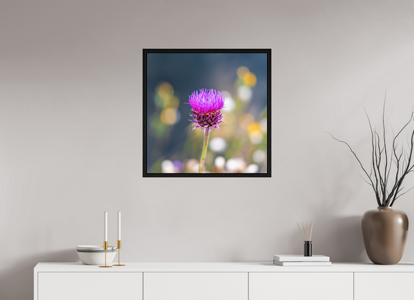 25 x 25″, Floater Frame Wyoming Thistle