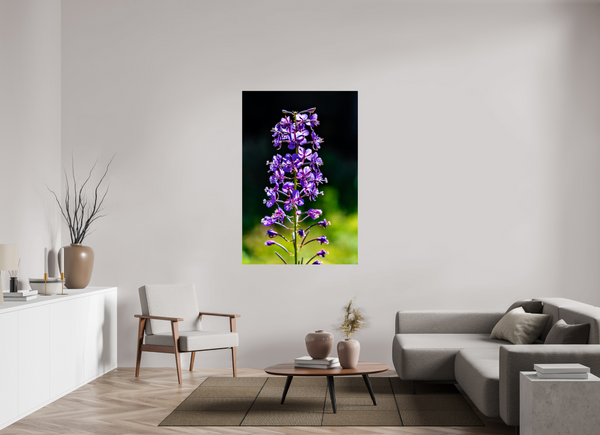 40 x 60″, Photo Print On Fuji Crystal DP II Violet Lupine