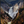 Main image Lower Yellowstone Falls, Yellowstone National Park