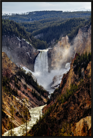Main image Lower Yellowstone Falls, Yellowstone National Park