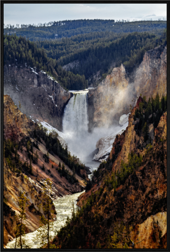 Main image Lower Yellowstone Falls, Yellowstone National Park