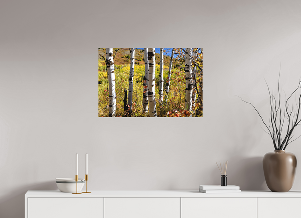 30 x 20″, Direct Print on Aluminum Board, Matte Aspens
