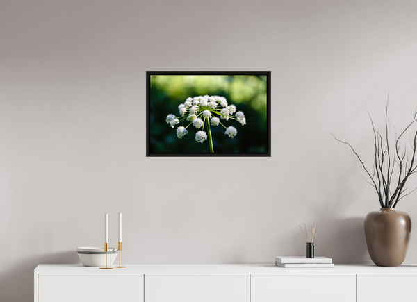 24 x 16″, Floater Frame White Wildflower