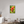 24 x 36″, Floater Frame Indian Paintbrush