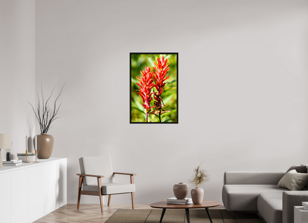 24 x 36″, Floater Frame Indian Paintbrush