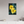 20 x 30″, Direct Print on Aluminum Board, Matte Wild Sunflower
