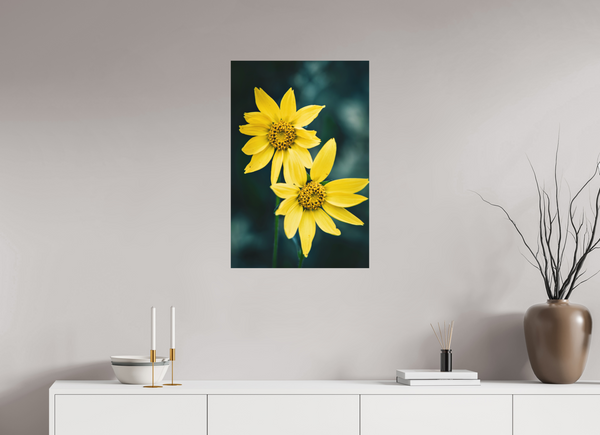 20 x 30″, Direct Print on Aluminum Board, Matte Wild Sunflower