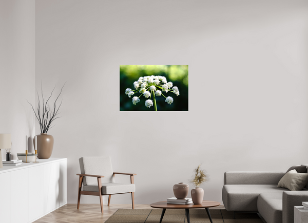 36 x 24″, Canvas with Wrapped Edges, Glossy Wildflower