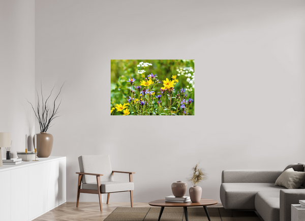 45 x 30″, Direct Print on Aluminum Board, Matte Wildflowers