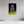 20 x 30″, Photo Print On Fuji Crystal DP II Violet Lupine