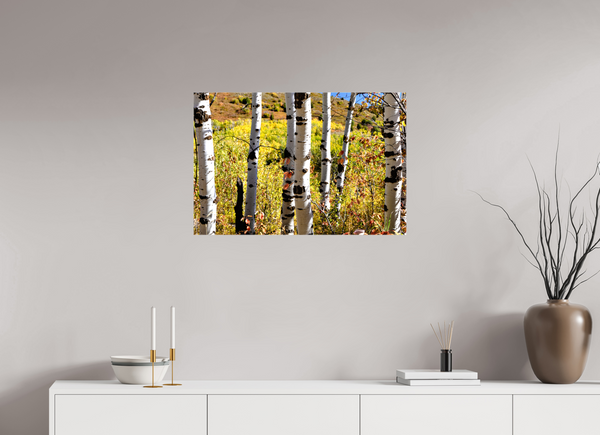 30 x 20″, Canvas with Wrapped Edges, Glossy Aspens
