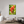40 x 60″, Floater Frame Indian Paintbrush