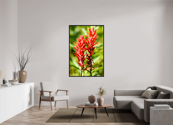 40 x 60″, Floater Frame Indian Paintbrush