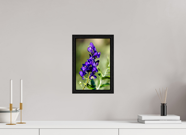 8 x 12″, Floater Frame Violet Wildflower