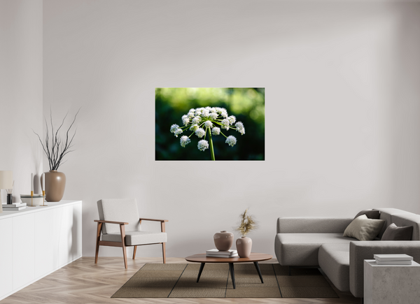 54 x 36″, Photo Print Under Acrylic Glass Wildflower